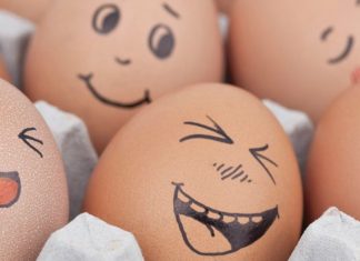 Egg-cellent Puns: The Best Egg Jokes and Puns That Will Crack You Up