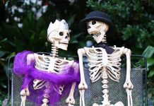 Hilarious Halloween Memes and Jokes to Get You in the Spirit