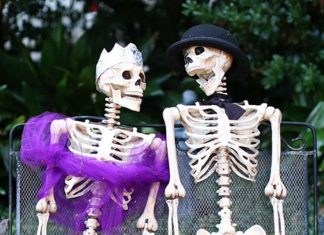 Hilarious Halloween Memes and Jokes to Get You in the Spirit