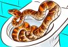 How a snake can enter your home through the toilet