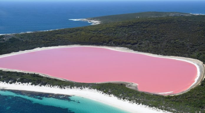 Incredible Things That You Never Knew Existed Until Now