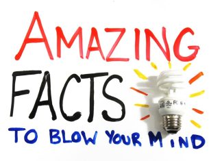 Mind-Blowing World Facts That Will Leave You Speechless