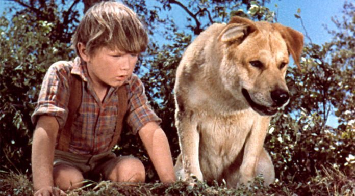 Most Heartbreaking Movie Deaths That Will Leave You in Tears