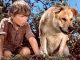 Most Heartbreaking Movie Deaths That Will Leave You in Tears