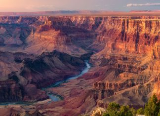 Nature’s Wonders: Fascinating Facts That Will Leave You in Awe