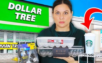 Shocking Secrets That Dollar Tree Doesn’t Want You to Know