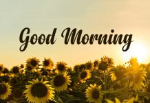 Start Your Day Right: Good Morning Messages for Her