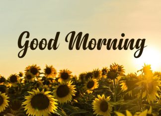 Start Your Day Right: Good Morning Messages for Her