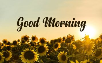 Start Your Day Right: Good Morning Messages for Her
