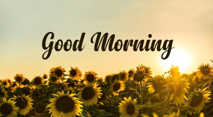 Start Your Day Right: Good Morning Messages for Her