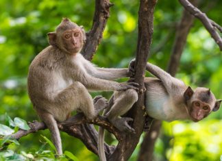 Surprising facts about the southern U.S.