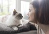 Surprising Ways Your Feline Friend Shows Affection