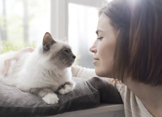 Surprising Ways Your Feline Friend Shows Affection