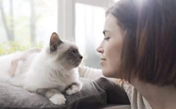 Surprising Ways Your Feline Friend Shows Affection