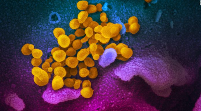The Latest News on the Coronavirus Outbreak