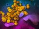 The Latest News on the Coronavirus Outbreak