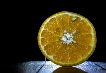 Totally Useless Facts That Are Too Entertaining for Words