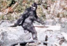 Unsolved Mysteries That Continue to Fascinate Americans to This Day