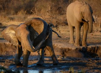 Weird Facts That You Won’t Believe Are True