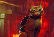 Why Cats Are Superior to Dogs: Unbiased Reasons