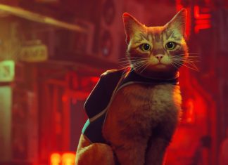 Why Cats Are Superior to Dogs: Unbiased Reasons