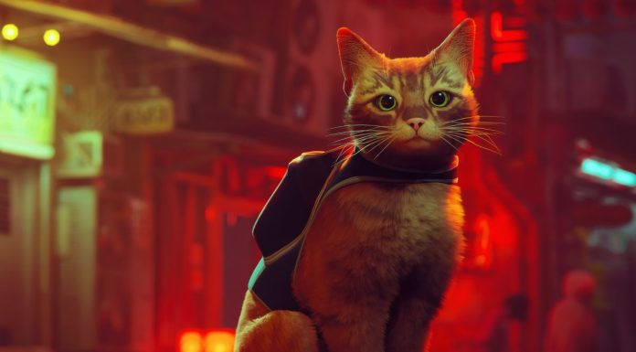 Why Cats Are Superior to Dogs: Unbiased Reasons