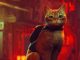 Why Cats Are Superior to Dogs: Unbiased Reasons